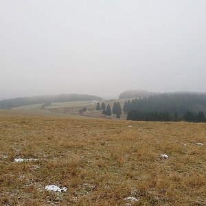 Nojby na vrcholu Sokol (27.11.2021 12:53)