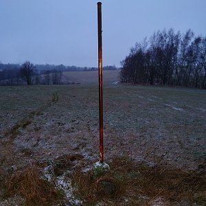 Nojby na vrcholu Nad Kapličkou (27.11.2021 16:34)