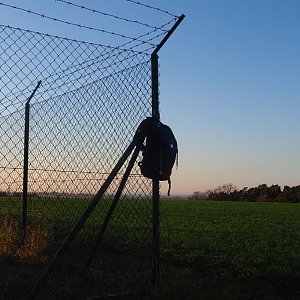 Jiřina na vrcholu Hrádek (3.12.2021)