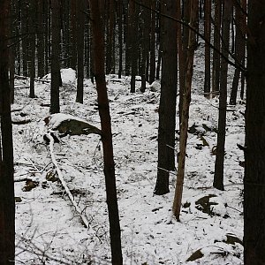 Bouřka na vrcholu Stinný vrch - J vrchol (12.12.2021 13:03)