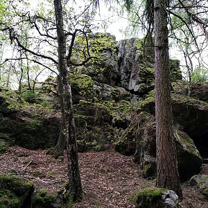 Badger na vrcholu Čertovo břemeno (2.5.2020 10:22)