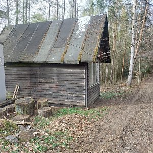 Mykas na vrcholu Pahorek (30.3.2024 15:55)