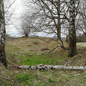 Vladimír Grančay na vrcholu Borovina - J vrchol (14.3.2024 13:56)