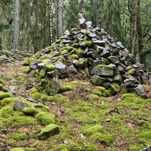 Holi na vrcholu Záborčí - ZSZ vrchol (5.10.2024 16:29)