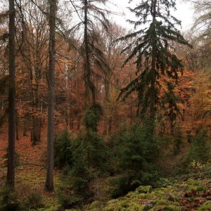 Bouřka na vrcholu Nad Růžkem (30.10.2024 15:55)