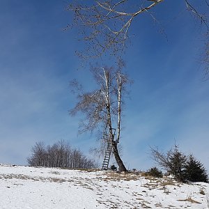 Marcela Kubíčková na vrcholu Kříbec (12.3.2023 10:30)