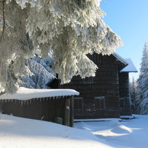 ZdenkaV na vrcholu Hubertova chata (25.12.2024 13:51)