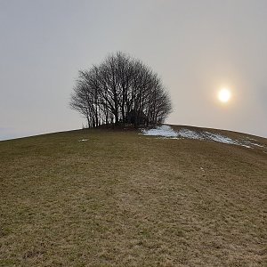 Pomáháme pohybem aneb Strava pro puštíka