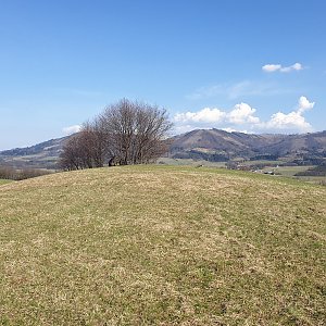 Petr Pepe Peloušek na vrcholu Na Vrchu - V (31.3.2021 15:54)