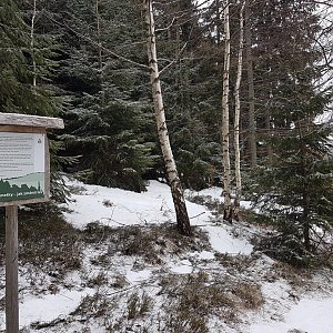 Marcela Kubíčková na vrcholu Benešky (5.3.2023 9:40)