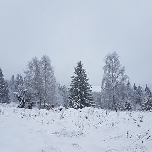 Marcela Kubíčková na vrcholu Hluboký - Z vrchol (11.12.2022 11:25)