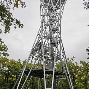 Betička na vrcholu Červená hlína (2.10.2022 16:26)