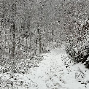 Alexandr Starý na vrcholu Macková (2.12.2023 15:40)