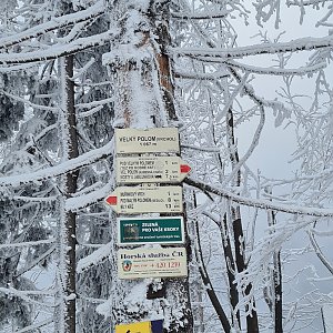 Katka na vrcholu Velký Polom (9.1.2021 11:01)