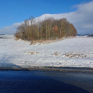 Mykas na vrcholu Břemiště (29.11.2023 10:31)