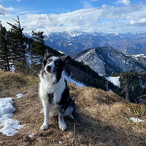 Martin Malý na vrcholu Kleiner Almkogel (19.2.2022 12:05)