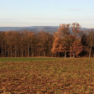 Bouřka na vrcholu Podíly (18.12.2023 14:07)