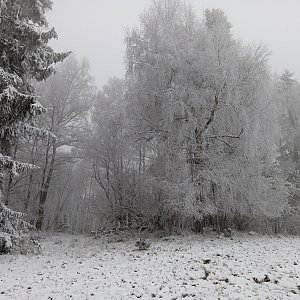 Vladimír Grančay na vrcholu U Ovčína (3.12.2022 14:04)