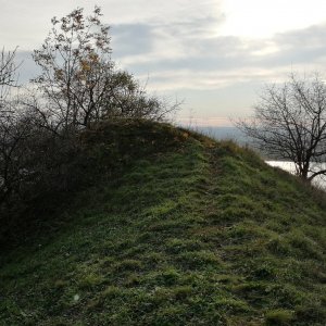 Vladimír Grančay na vrcholu Šibeniční vrch - J vrchol (8.11.2024 14:39)