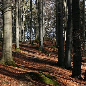 Bouřka na vrcholu Salka (19.12.2023 11:55)