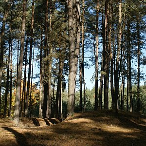 Holi na vrcholu Na Bohoutově (21.10.2023 14:10)