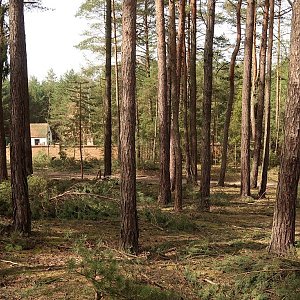 Bouřka na vrcholu Na Bohoutově (20.3.2024 12:04)