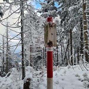 Katka na vrcholu Malý Polom (9.1.2021 13:40)