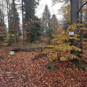 Marcela Kubíčková na vrcholu Beskid (19.10.2022 12:10)