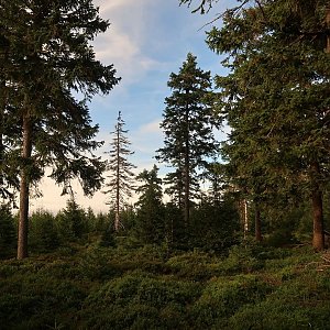 Bouřka na vrcholu Přední Planina (29.8.2022 18:23)