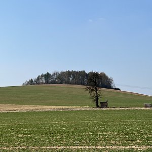 Jaroslav Mužík na vrcholu Horčín (26.3.2022 15:06)