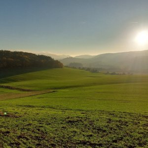 Mykas na vrcholu Terezin vrch (28.10.2024 16:18)