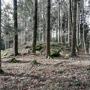 Vladimír Grančay na vrcholu Nad Vraništěm (12.11.2022 12:11)