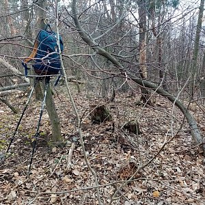 Jiřina na vrcholu Plánice (3.4.2022)