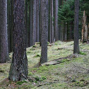 Bouřka na vrcholu Cibulář (19.12.2023 9:41)