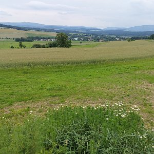 Mykas na vrcholu Tetřívek (8.6.2024 18:51)