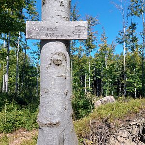 Ila na vrcholu Babí vrch (21.9.2024)