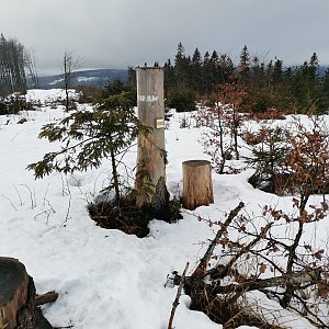 Radim Fcb na vrcholu Kozubová (4.2.2021 12:35)