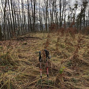 Radka D na vrcholu Libhošťská hůrka - VJV (26.12.2022 10:28)