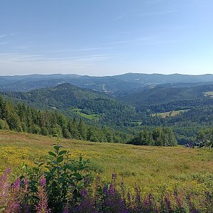 ŠenovKK na vrcholu Velký Stožek / Stożek Wielki (27.7.2024 10:35)