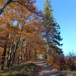 Vojta Žiak na vrcholu Velký Stožek / Stożek Wielki (24.10.2024 15:00)