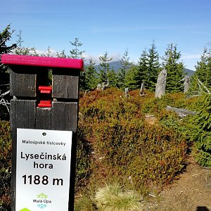 Vladimír Grančay na vrcholu Lysečina (15.9.2019 10:08)