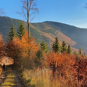 Martin Petřík na vrcholu Folvark (28.10.2021 16:32)