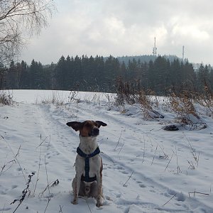 Figgo na vrcholu U pískovny (12.12.2021 9:45)