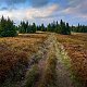 Jiří Králík na vrcholu Zázrivá (15.9.2018 18:12)