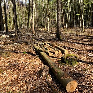 Jan Matiášek na vrcholu Gréngewald (16.4.2022 13:28)