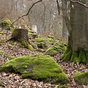 Holi na vrcholu Čapka (29.4.2023 14:30)