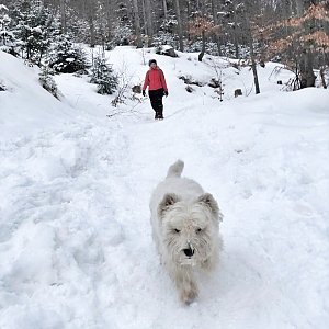 Martin Petřík na vrcholu Wierch Równiański (26.2.2022 15:30)