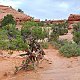 Bohumír Michal na vrcholu Delicate Arch - SV vrchol (15.7.2012)