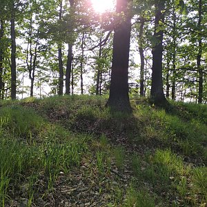 Vratislav Sejkora na vrcholu Nad Husí cestou (15.5.2024 17:42)