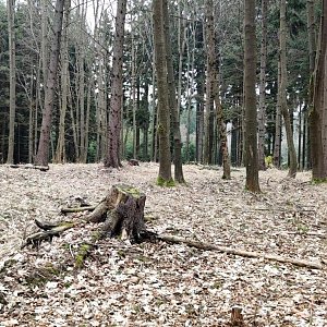 Martin Suchopár na vrcholu Nad Stěnskou (29.2.2024 13:27)